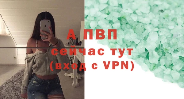 ГАЛЛЮЦИНОГЕННЫЕ ГРИБЫ Вязники