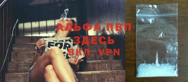 ГАЛЛЮЦИНОГЕННЫЕ ГРИБЫ Вязники
