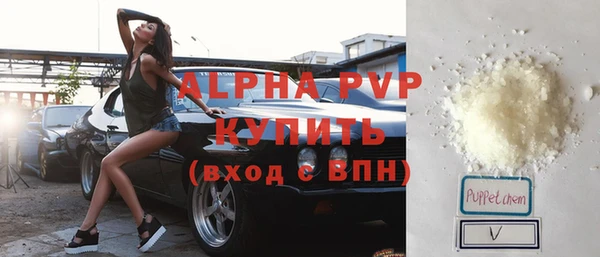 ГАЛЛЮЦИНОГЕННЫЕ ГРИБЫ Вязники