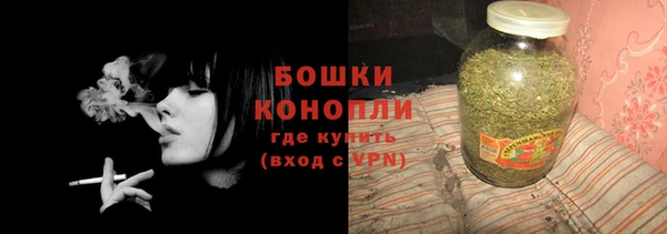 ГАЛЛЮЦИНОГЕННЫЕ ГРИБЫ Вязники