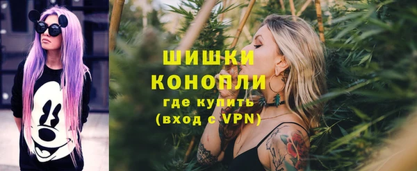 ГАЛЛЮЦИНОГЕННЫЕ ГРИБЫ Вязники