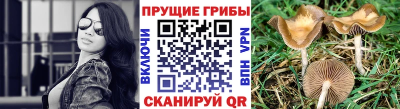 Галлюциногенные грибы Magic Shrooms  Мантурово 